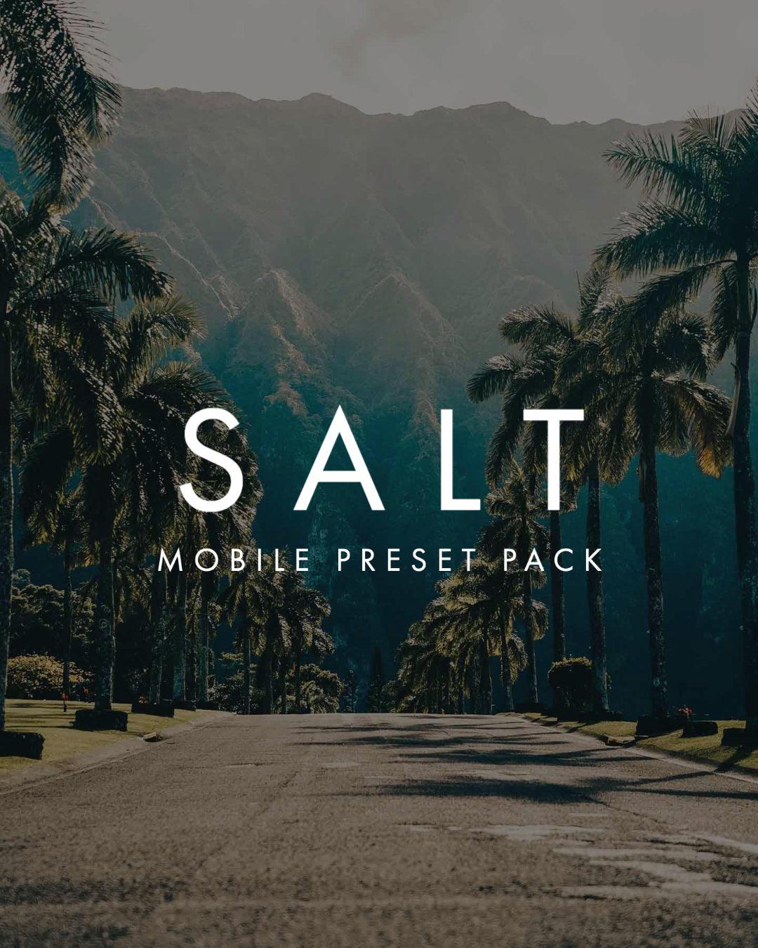 Salt Mobile Preset Pack - Pixuls
